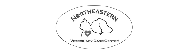 Pet Vet| Northeastern Veterinary Care Center Mystic, CT 06355